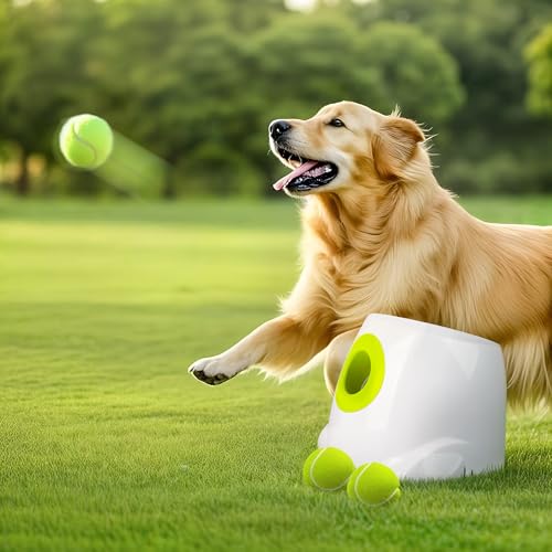 ALL FOR PAWS Automatischer Ballwerfer für Hunde, interaktiver Ballwerfer für große und große Hunde, wiederaufladbares, interaktives Welpenspielzeug mit 3 - 12 m, 6 Stück ETPU ALL FOR PAWS Automatischer Ballwerfer für Hunde, interaktiver Ballwerfer für große und große Hunde, wiederaufladbares, interaktives Welpenspielzeug mit 3 - 12 m, 6 Stück ETPU von ALL FOR PAWS
