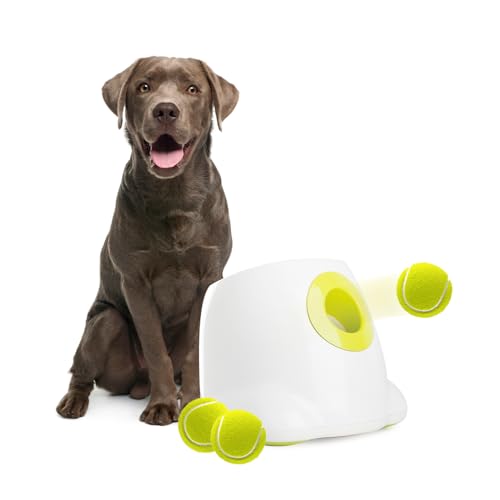 ALL FOR PAWS Automatischer Hundeballwerfer, wiederaufladbarer Ballwerfer für große Hunde, interaktive Tennisball-Werfer-Maschine mit verbesserten 6 E-TPU-Tennisbällen, 6,3 cm ALL FOR PAWS Automatischer Hundeballwerfer, wiederaufladbarer Ballwerfer für große Hunde, interaktive Tennisball-Werfer-Maschine mit verbesserten 6 E-TPU-Tennisbällen, 6,3 cm von ALL FOR PAWS