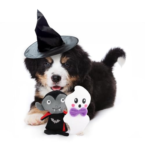 ALL FOR PAWS Gruseliges Halloween-Hundespielzeug mit Quietscher – Plüsch, lustiges und langlebiges Kauspielzeug für Hunde (2 Stück (15 cm & 13 cm) von ALL FOR PAWS