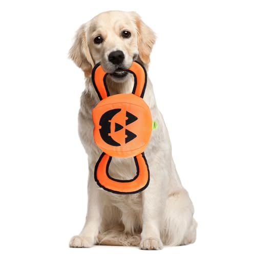 ALL FOR PAWS Halloween-Kürbis-Hundespielzeug, langlebiges Kauspielzeug mit Griff, Hundebälle für kleine, mittelgroße und große Hunde, ideal für Halloween-Spielen von ALL FOR PAWS