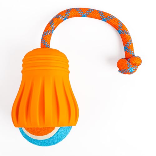 ALL FOR PAWS Hundeball Launcher mit 2.5''Tennisball, Sling Design Langstrecken Ball Werfer Interaktives Spiel Fetch Spielzeug für kleine bis große Hunde ALL FOR PAWS Hundeball Launcher mit 2.5''Tennisball, Sling Design Langstrecken Ball Werfer Interaktives Spiel Fetch Spielzeug für kleine bis große Hunde von ALL FOR PAWS