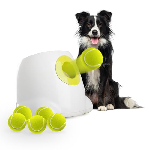 ALL FOR PAWS Automatischer Ballwerfer für Hunde, interaktive Hundeballwerfermaschine, wiederaufladbares Apportierspielzeug mit 3 Tennisbällen enthalten, ideal für mittelgroße und große Hunde von ALL FOR PAWS