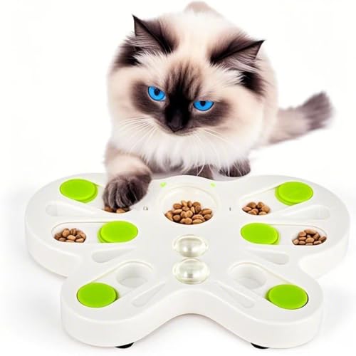 All for Paws Katzen-Intelligenzspielzeug-Katzenspielzeug Intelligenz, Interaktives Lernspielzeug für Katzen Aller Altersgruppen, Katzenspielzeug für IQ-Training & Gehirnstimulation von ALL FOR PAWS