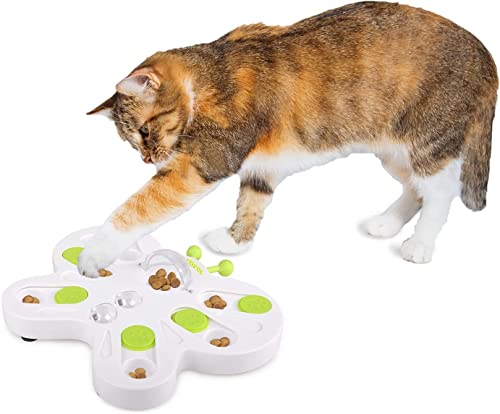 All for Paws Katzen-Intelligenzspielzeug-Katzenspielzeug Intelligenz, Interaktives Lernspielzeug für Katzen Aller Altersgruppen, Katzenspielzeug für IQ-Training & Gehirnstimulation von ALL FOR PAWS