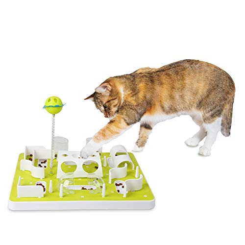 ALL FOR PAWS Interactives Treat Labyrinth Katzenspielzeug 0,23 kg von ALL FOR PAWS