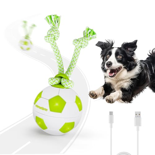 ALL FOR PAWS Interaktives Hundespielzeug Hunde Ball, Langlebiger Bewegungsaktivierter Automatischer Rollball für Kleine/Mittlere/Große Hunde, USB-Aufladbar ALL FOR PAWS Interaktives Hundespielzeug Hunde Ball, Langlebiger Bewegungsaktivierter Automatischer Rollball für Kleine/Mittlere/Große Hunde, USB-Aufladbar von ALL FOR PAWS