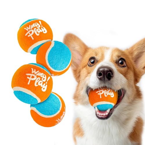ALL FOR PAWS Interaktives Tennisball-Hundespielzeug, superfedernd, weiches Material, leuchtende Farben, 4 Stück ALL FOR PAWS Interaktives Tennisball-Hundespielzeug, superfedernd, weiches Material, leuchtende Farben, 4 Stück von ALL FOR PAWS