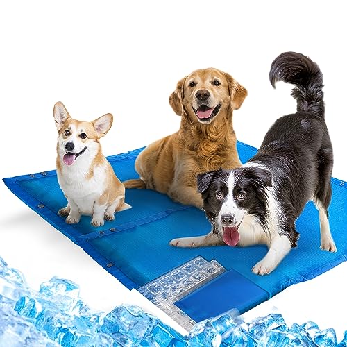 ALL FOR PAWS Kühlmatte für Hunde, verdickte Aqua Hunde-Kühlmatte, extra groß, Hydro-Hunde-Kühlkissen für Hunde und Katzen, drei Schichten, kühlendes Hundebett, Sommer-Haustier-Kühlmatten für Hunde von ALL FOR PAWS