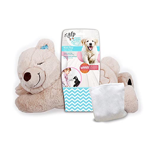 ALL FOR PAWS AFP Little Buddy Hundespielzeug, Bärenmotiv, 1 Stück (1er Pack) von ALL FOR PAWS