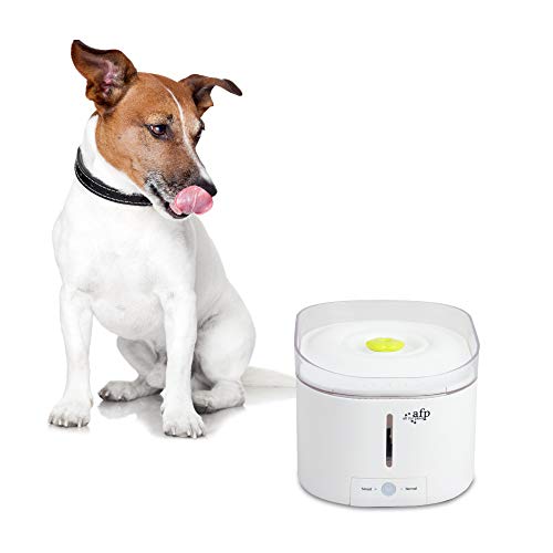 ALL FOR PAWS Lifestyle The Purefect Haustier-Wasserbrunnen, 0,11 kg ALL FOR PAWS Lifestyle The Purefect Haustier-Wasserbrunnen, 0,11 kg von ALL FOR PAWS