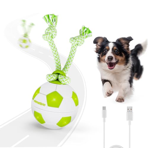 ALL FOR PAWS Interaktiver HundeBall, Beweglicher Hundeball mit LED-Lichtern, Hundespielzeug gegen Langeweile, Bewegungsaktiviertes Spielzeug für Welpen & kleine/mittelgroße/große Hunde, USB ALL FOR PAWS Interaktiver HundeBall, Beweglicher Hundeball mit LED-Lichtern, Hundespielzeug gegen Langeweile, Bewegungsaktiviertes Spielzeug für Welpen & kleine/mittelgroße/große Hunde, USB von ALL FOR PAWS
