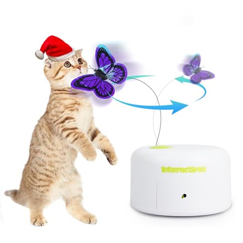 ALL FOR PAWS Interactive Motion Activate Cat Butterfly Toy with One Replacement Flashing Butterflies Toy(Motion Butterfly) von ALL FOR PAWS