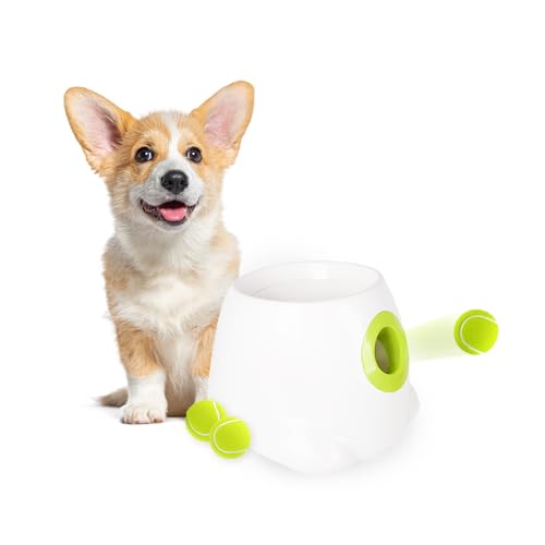 All for Paws Interaktiver Automatischer Hundeballwerfer für kleine und mittelgroße Hunde, Welpen-Apportierspielzeug, tolle Übung für Hunde mit 3 Bällen, Mini-Version von ALL FOR PAWS