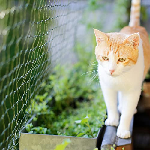 ALLEGRA Balkon Katzennetz !!!B-Ware MIT KLEINEN FEHLERN!!! Netz Schutznetz Katzengitter Grün 3x2 m Katzenschutznetz Katze Balkonschutz Balkonnetz Katzen Sicherheitsnetz Katzenschutz von ALLEGRA