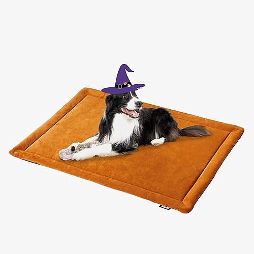 ALLISANDRO wasserdichte Hundedecke Premium Dutch-Velvet Haustier Hund Katze Matte - Erhältlich in Mehreren Größen (80x60cm, 100x73cm, 118x73cm) von ALLISANDRO