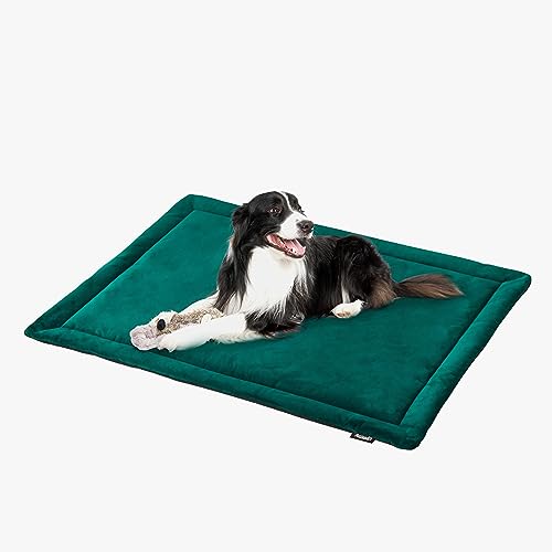 ALLISANDRO wasserdichte Hundedecke Premium Dutch-Velvet Haustier Hund Katze Matte - Erhältlich in mehreren Größen (80x60cm, 100x73cm, 118x73cm) von ALLISANDRO