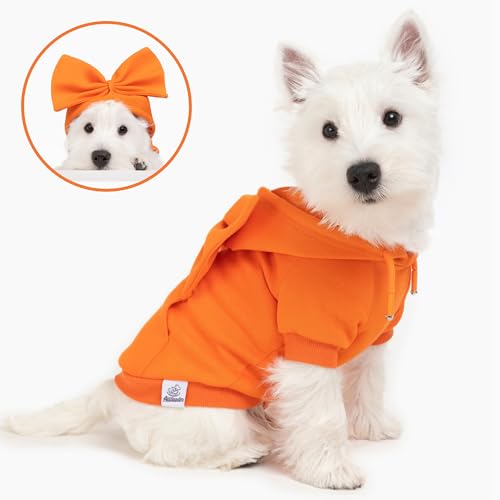 Allisandro Hundehoodie mit Schleife, Stilvoller Welpen-Kapuzenpullover, Warme Hundebekleidung für kleine bis mittelgroße Hunde, Orange/Grün/Königsblau/Gelbgrün von ALLISANDRO