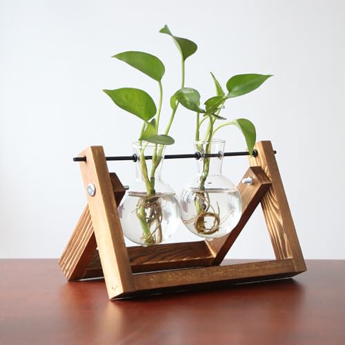 ALLOMN Pflanzen-Terrarium mit Holzständer, Blumenzwiebel-Glaspflanze, transparente Vase, Vintage-Pflanzgefäß, Blumenzwiebelvase, Tischplatte für Hydrokultur, Haus, Garten, Büro, Dekoration – 2 von ALLOMN