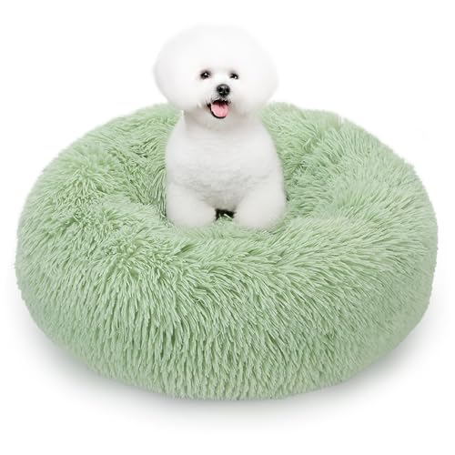 ALLSOPETS Beruhigendes Hundebett für Kleine und Mittelgroße Hunde Waschbares Donut-Katzenbett mit Rutschfester Unterseite Weiches Rundes Plüsch-Hundebett (Apfelgrün, 50cm) von ALLSOPETS