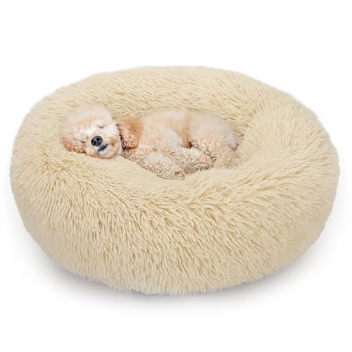 ALLSOPETS Beruhigendes Hundebett für Kleine und Mittelgroße Hunde Waschbares Donut-Katzenbett mit Rutschfester Unterseite Weiches Rundes Plüsch-Hundebett (Mandelgelb, 50cm) von ALLSOPETS