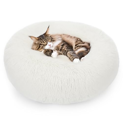 ALLSOPETS Beruhigendes Hundebett für Kleine und Mittelgroße Hunde Waschbares Donut-Katzenbett mit Rutschfester Unterseite Weiches Rundes Plüsch-Hundebett (Schneeweiß, 50cm) von ALLSOPETS