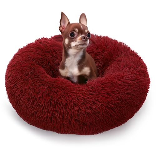 ALLSOPETS Beruhigendes Hundebett für Kleine und Mittelgroße Hunde Waschbares Donut-Katzenbett mit Rutschfester Unterseite Weiches Rundes Plüsch-Hundebett (Weinrot, 50cm) von ALLSOPETS