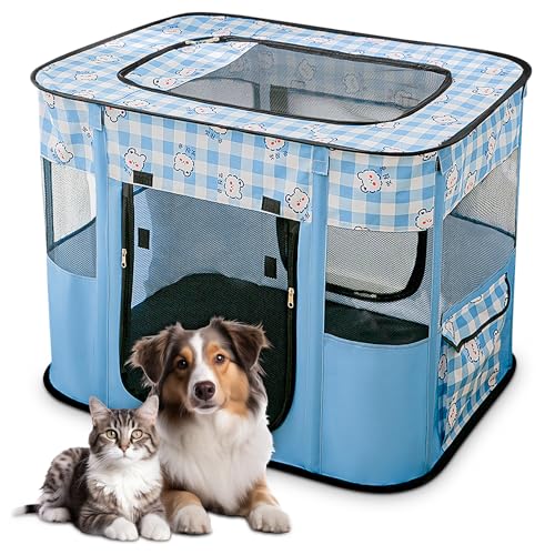 ALLSOPETS Faltbarer Haustierstall Tragbarer Katzen Laufstall Hunde Zelt Hundekäfig für Hund Welpe Freigehege Hundebox Kaninchen Zwinger mit Tragbar Handtasche (Blaue Bären, M) von ALLSOPETS