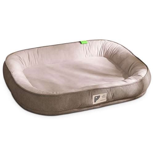 ALLSOPETS Hundebett für Kleine Mittelgroße Hunde Waschbar Abnehmbare Deluxe-Hundenestmatte mit Rutschfester Unterseite Weich Bequem Ganzjahres Hundesofabett für Katzen Hunde und Welpen (Grau,M) von ALLSOPETS