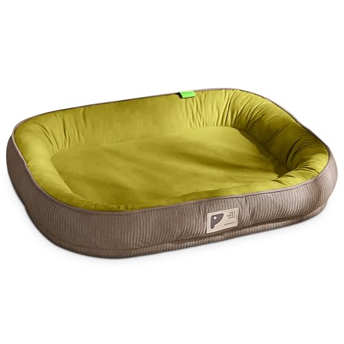 ALLSOPETS Hundebett für Kleine Mittelgroße Hunde Waschbar Abnehmbare Deluxe-Hundenestmatte mit Rutschfester Unterseite Weich Bequem Ganzjahres Hundesofabett für Katzen Hunde und Welpen (Grün,M) von ALLSOPETS