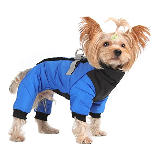 ALLSOPETS Wasserdichter Hundemantel für Kleine Hunde Hundejacke mit Reflektierenden Streifen Verstellbare Passform für Komfort Ideal für Outdoor-Aktivitäten (Blau, 2XL) von ALLSOPETS