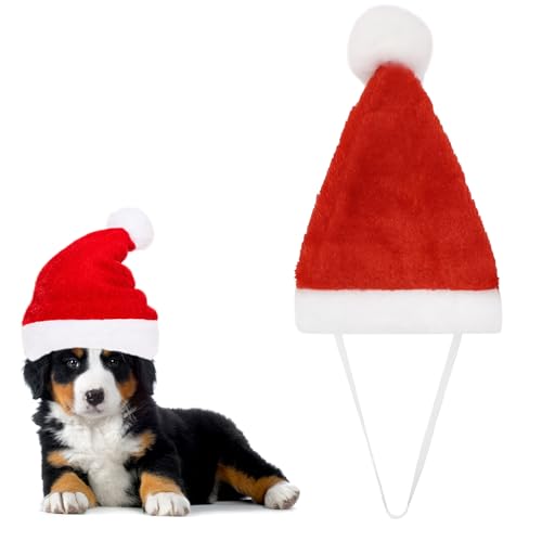 ALLY-MAGIC Weihnachten Hund Katze Weihnachtsmann Hut Weihnachten Haustier Kostüm Hund Weihnachten Outfit Weihnachten Kostüm Set für Kleine Hunde Geschenk Y6-CWSDM von ALLY-MAGIC