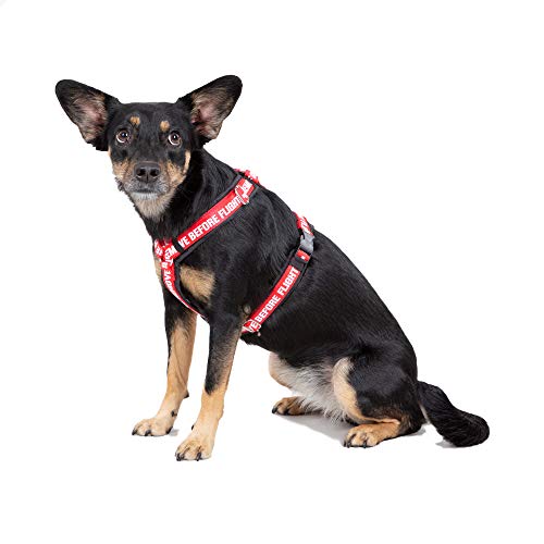 Alpha Industries Dog RBF Harness, Black, XXL von ALPHA INDUSTRIES