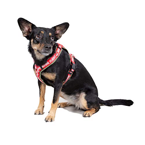 Alpha Industries Dog RBF Harness, Dark Olive, L von ALPHA INDUSTRIES