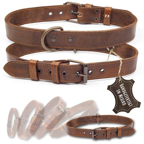 ALTEZAR Lederhalsband Hund - Natur Leder Braun - Hochwertig verarbeitetes Hundehalsband - Handgemacht in Mexiko - Größe XL von ALTEZAR