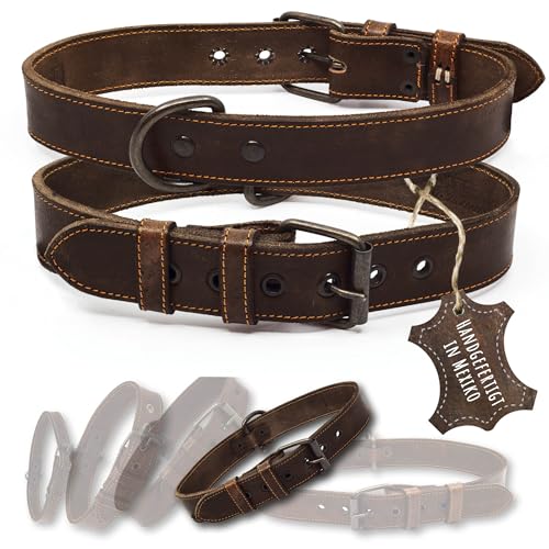 ALTEZAR Lederhalsband Hund - Natur Leder Dunkelbraun - Hochwertig verarbeitetes Hundehalsband - Handgemacht in Mexiko - Halsband Hund Größe L für große Hunde von ALTEZAR