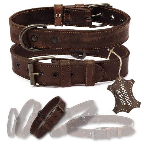 ALTEZAR Lederhalsband Hund - Natur Leder Dunkelbraun - Hochwertig verarbeitetes Hundehalsband - Handgemacht in Mexiko - Halsband Hund Größe M für mittel-große Hunde von ALTEZAR