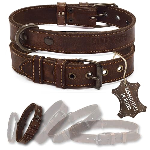 ALTEZAR Lederhalsband Hund - Natur Leder Dunkelbraun - Hochwertig verarbeitetes Hundehalsband - Handgemacht in Mexiko - Halsband Hund Größe S für kleine Hunde von ALTEZAR