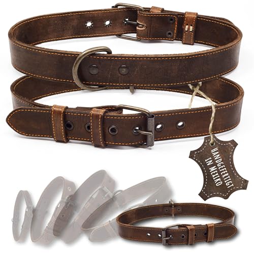 ALTEZAR Lederhalsband Hund - Natur Leder Dunkelbraun - Hochwertig verarbeitetes Hundehalsband - Handgemacht in Mexiko - Halsband Hund Größe XL für sehr große Hunde von ALTEZAR