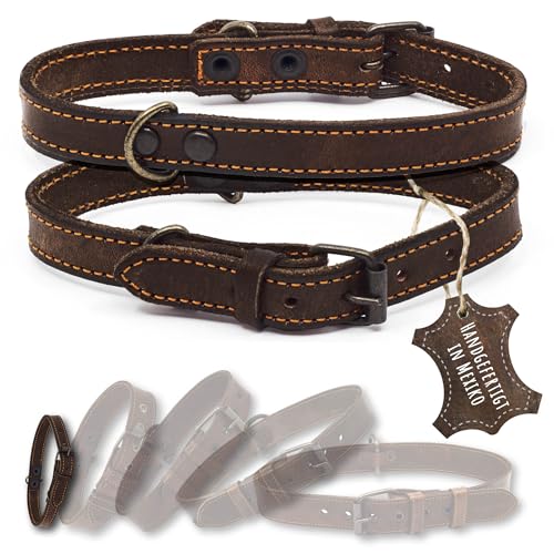 ALTEZAR Lederhalsband Hund - Natur Leder Dunkelbraun - Hochwertig verarbeitetes Hundehalsband - Handgemacht in Mexiko - Halsband Hund Größe XS für sehr kleine Hunde von ALTEZAR