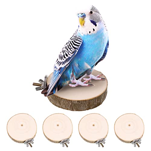 ALTcompluser 4 Stück Vogelstangenständer Plattform Spielzeug Papageien Käfig Spielzeug Rund Holz Springbrett für Wellensittiche, Nymphensittiche, Finken, kleine Sittiche, Vogelspielzeug von ALTcompluser