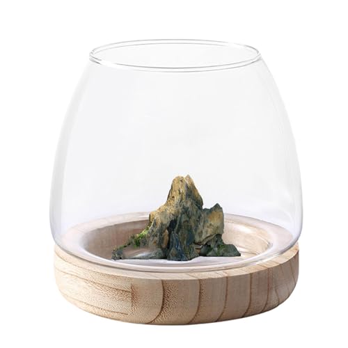 Aquariumschale – transparentes Glas-Fischglas, breite Öffnung, Blumenvase, Terrarium, ökologische Hydrokulturvase mit Holzsockel, Hydrokultur-Pflanzgefäß, klare Fischschale für Heimdekoration, von ALWIDA