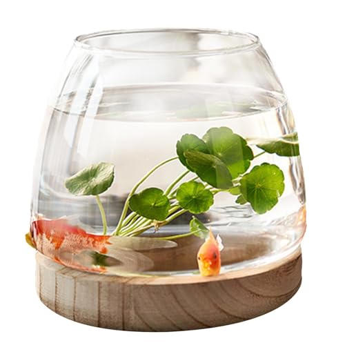 Aquariumschale – transparentes Glas-Fischglas, breite Öffnung, Blumenvase, Terrarium, ökologische Hydrokulturvase mit Holzsockel, Hydrokultur-Pflanzgefäß, klare Fischschale für Heimdekoration, von ALWIDA