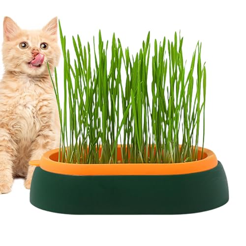 Katzengras-Pflanzgefäß – Katzengras-Tablett | PP-Katzengras-Topf | Hydrokultur-Katzengras-Pflanzgefäß | Keimschale für den Innenbereich | Pflanzenkeimschalen für Katzen im Freien | von ALWIDA