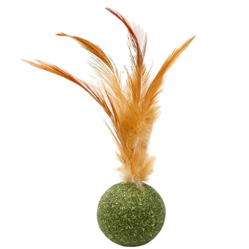 Magic Cat Balls - Interaktiver Katzenball | Essbarer Kätzchen-Katzenminze-Federball | Katzenspielzeug Katzenminze | Sicheres gesundes Kätzchen-Kauspielzeug | Katzenminze-Bälle für Katzen Lecken | von ALWIDA