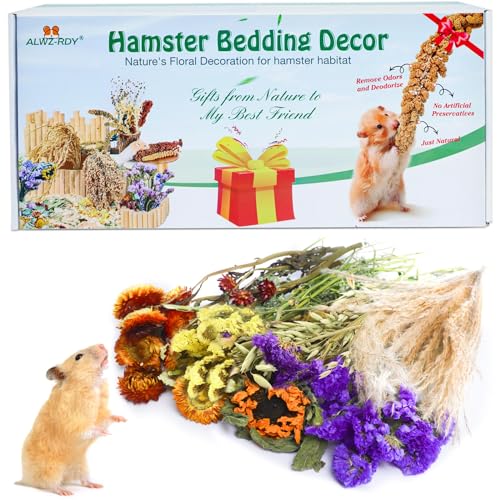 Natürliche Hamstereinstreu, Hamsterkräuter Blumen für Hamsterkäfig Gehege Lebensraum Dekor Hamstersprays für Zwerg Syrische Meerschweinchen Hamster Rennmäuse Degus oder andere Kleintiere von ALWZ-RDY