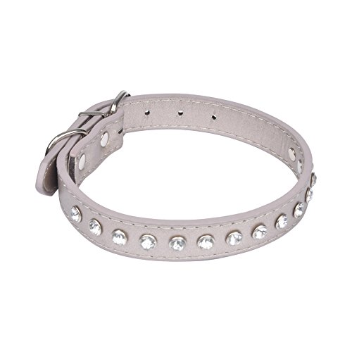 AMI CONFORT Freund Komfort Hundehalsband mit Motiv Hainbuchen Strass aus Kunstleder von AMI CONFORT