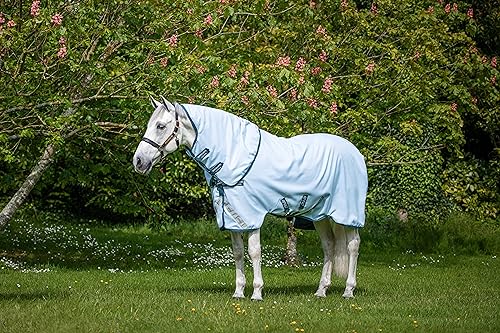 AMIGO Horseware Pflanzenfarbe Turnout 66 Blau/Marineblau von AMIGO