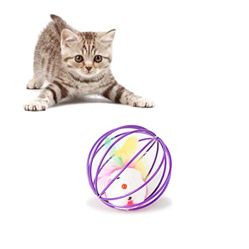 AMILKS Katze Spielzeug Katzenspielzeug Interaktives Katzenspielzeug Katzenfeder Spielzeug Katzen Zauberstab Kätzchen-Spielwaren für Innenkatzen Random Color von AMILKS