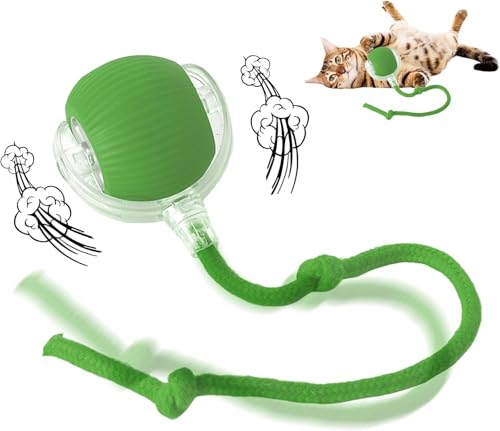 AMNF Rollball, interaktiver Katzen-Toys Rollball, intelligenter Hundeball, 360° intelligenter automatischer rollender Haustierball, Katzenspielzeug-Ball für Indoor-Katzen, schnelles Rollen auf Teppich von AMNF