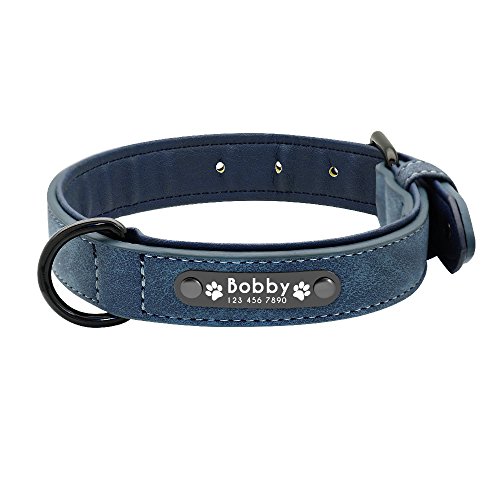 Hundehalsband, Hundehalsband, maßgeschneidert, Leder, Namensschild, für kleine, mittelgroße und große Hunde, 1 Stück, Blau, XL von AMOIZH